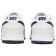 Nike Dunk