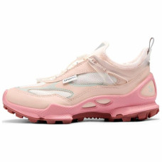 ecco C