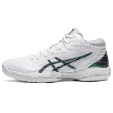 Asics Gel-Hoop V14