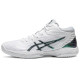 Asics Gel-Hoop V14