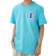 Champion Heritage LogoT