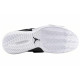 Jordan CP3 11 TB