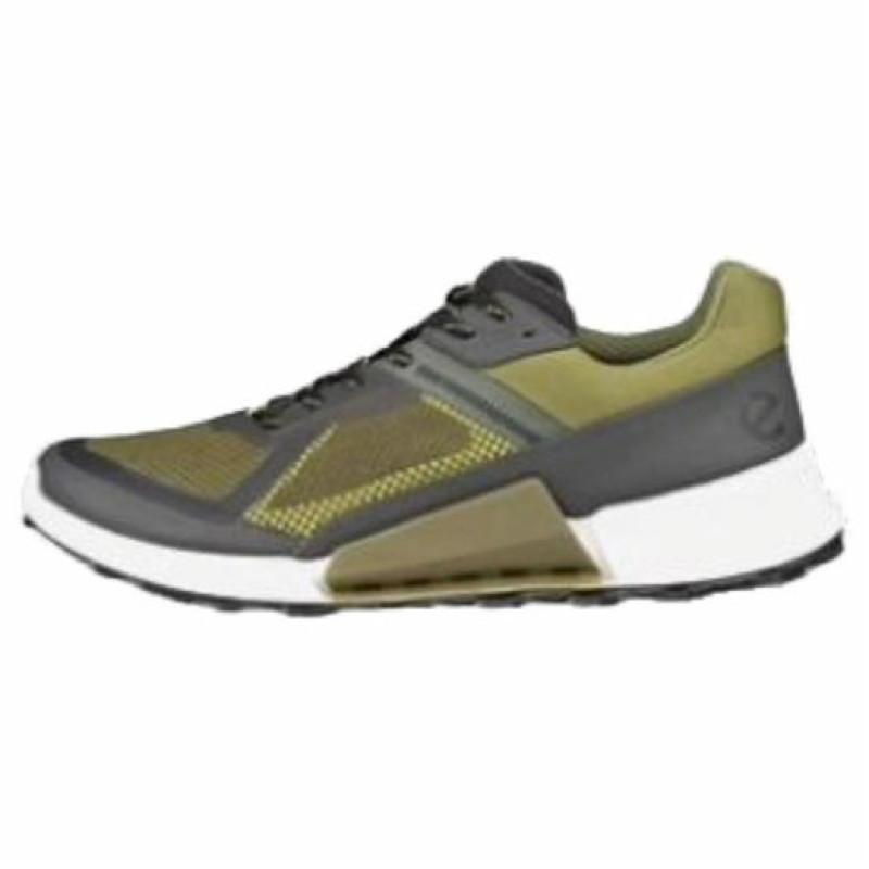 ecco BIOM2.1