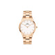 Daniel Wellington ICONIC LINK
