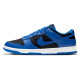 Nike Dunk Low Retro FZBB