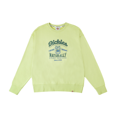 DIckies 24