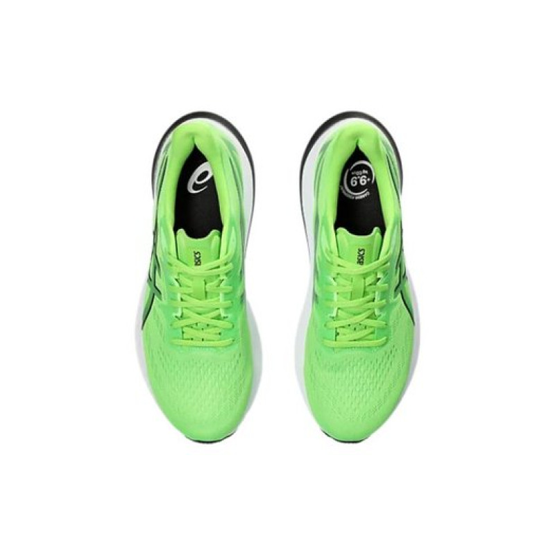 Asics GT-2000 12