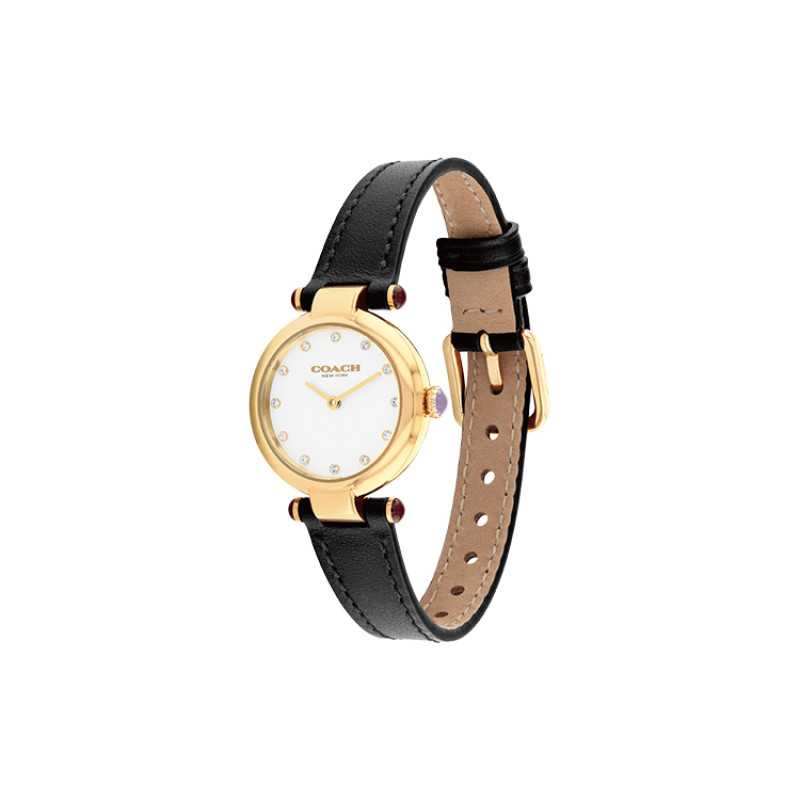 COACHCARY 14504014