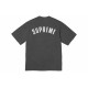 Supreme SS24 WEEK3 CRACKED ARC SS TOP T