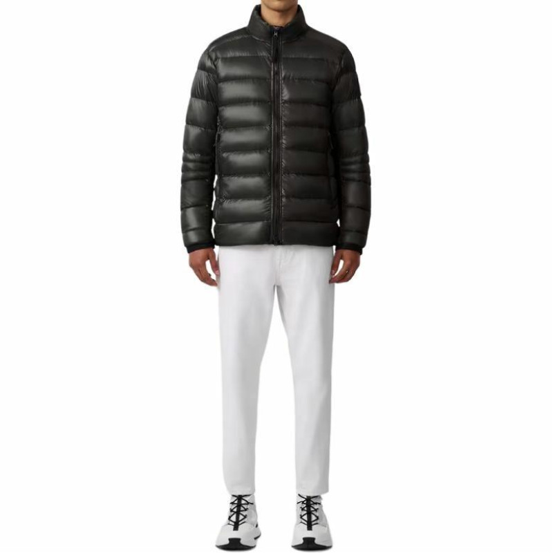 Canada Goose