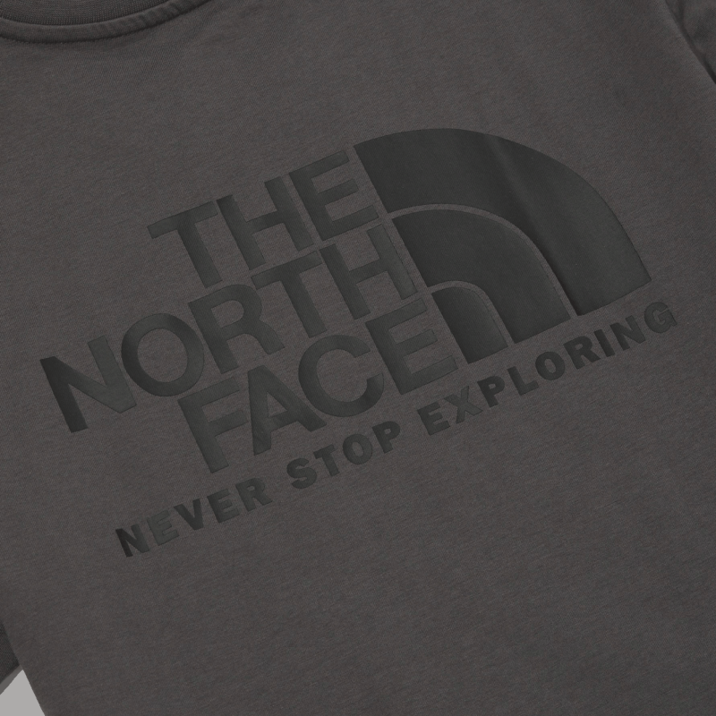 THE NORTH FACE Cotton Logo Ss Rtee Logo T