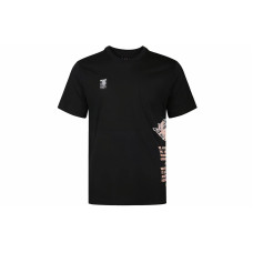 Air Jordan LOGO T