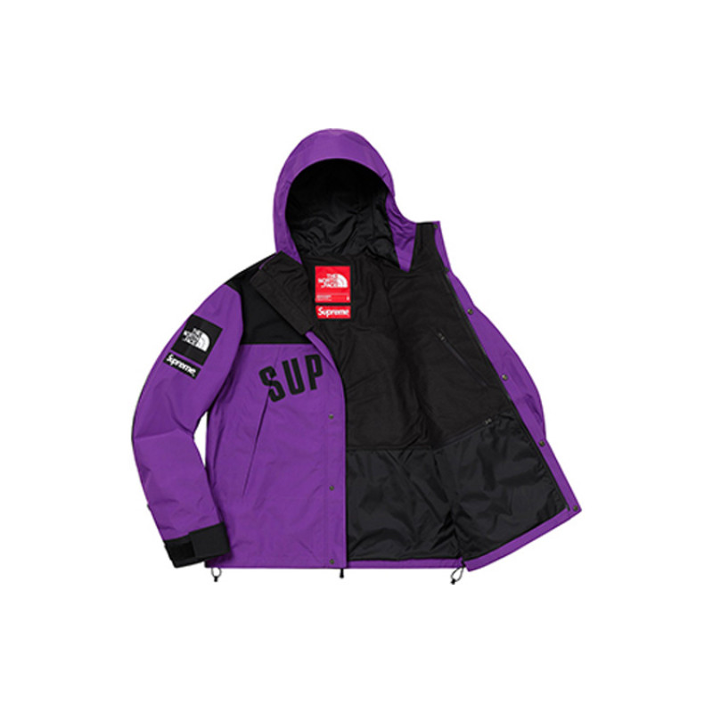 Supreme x THE NORTH FACE SS19