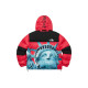 Supreme x THE NORTH FACE FW19 Week 10 Statue of Liberty Baltoro Baltoro