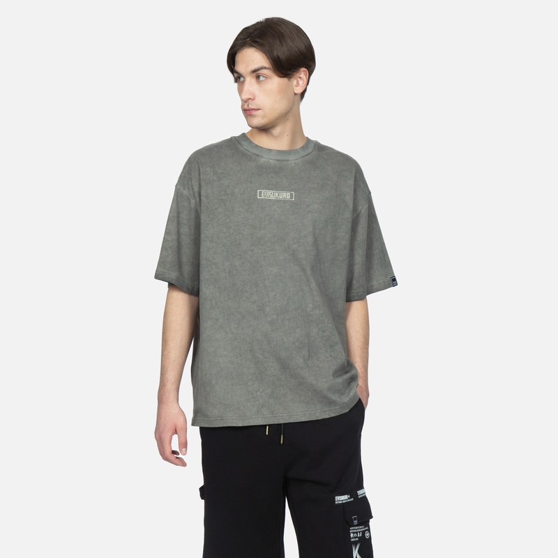 EVISU LogoT