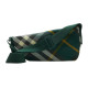 Burberry Shield