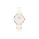 Daniel Wellington dw