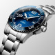 LONGINES 300 41mm L3.781.4.96.6