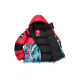Supreme x THE NORTH FACE FW19 Week 10 Statue of Liberty Baltoro Baltoro