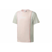 Puma T