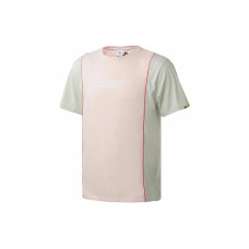 Puma T