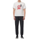 EVISU M