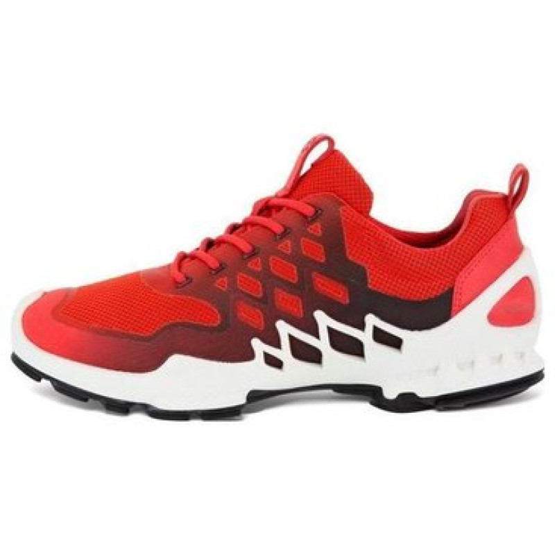 ecco BIOM AEX