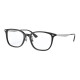 RayBan