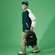 Dickies 100