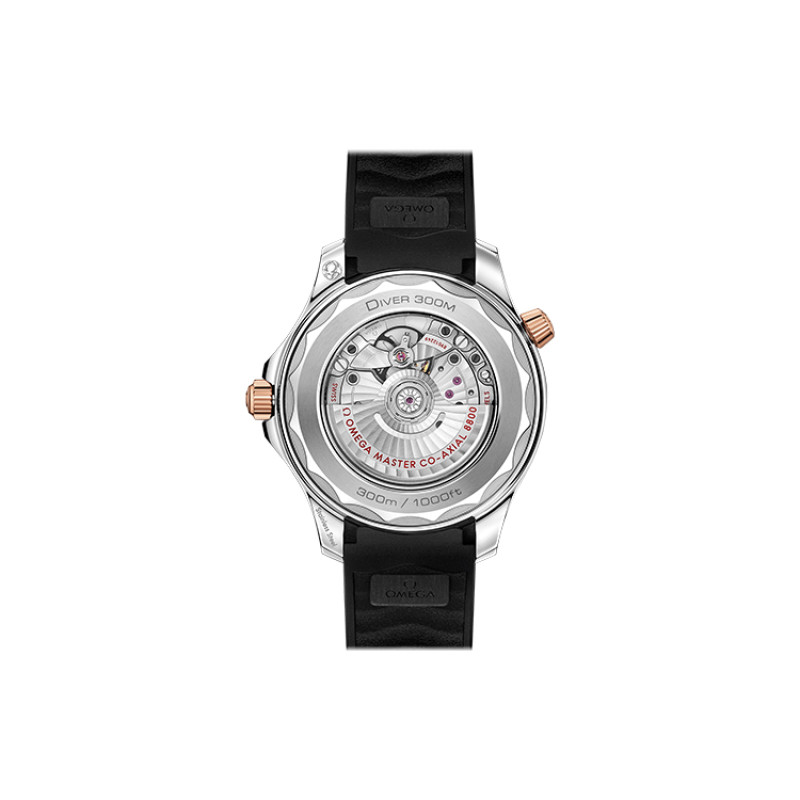 OMEGA 300 42mm 18K 210.22.42.20.01.002