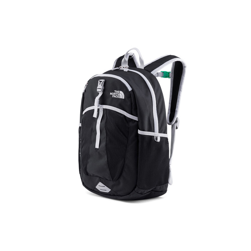 THE NORTH FACE Logo