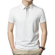 PIERRE CARDIN polo