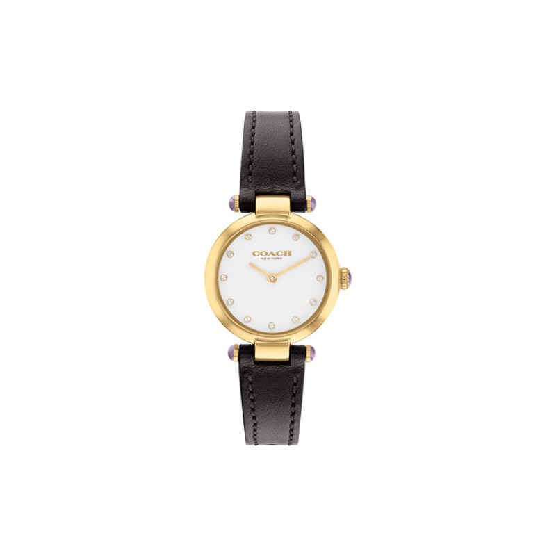 COACHCARY 14504014