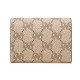 PIERRE CARDIN pvc