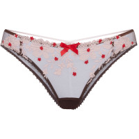 Agent Provocateur 1