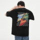 FAIRWHALE T