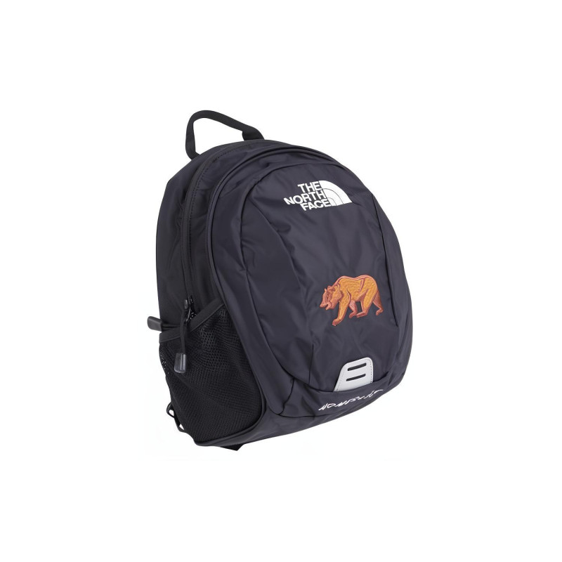 THE NORTH FACE Home Slice Logo