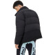 EVISU AW24