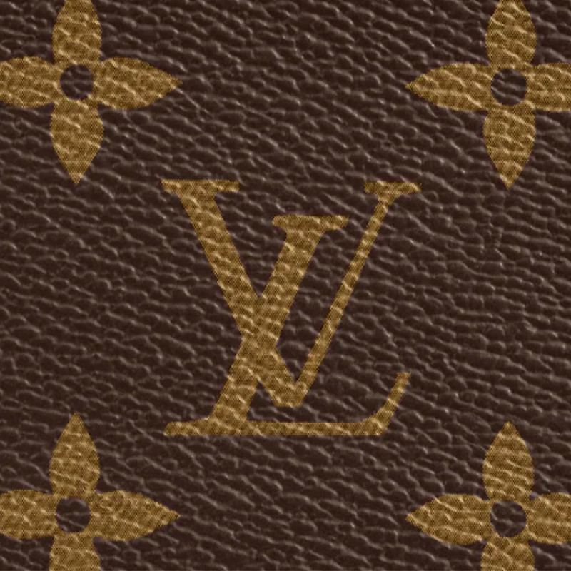 LOUIS VUITTON Multiple