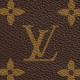 LOUIS VUITTON Multiple