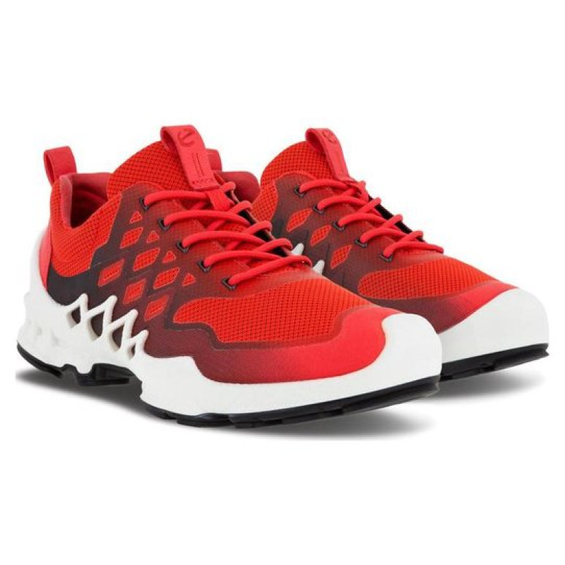 ecco BIOM AEX