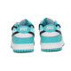 Nike Dunk vibe