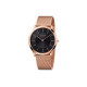 CKCalvin Klein 43mm 30 K3M2T621