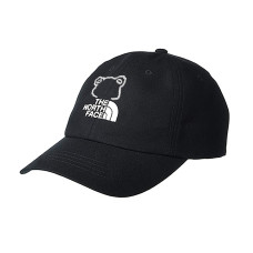 THE NORTH FACE Logo FanFare