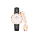 Daniel Wellington + DW DW