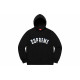 Supreme FW20 Week 1 Icy Arc Hooded Sweatshirt Logo