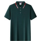 PIERRE CARDIN Polo