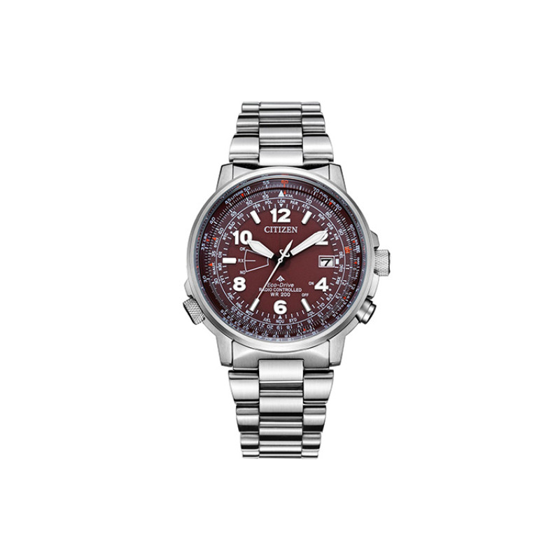 CITIZEN CB0241-85X