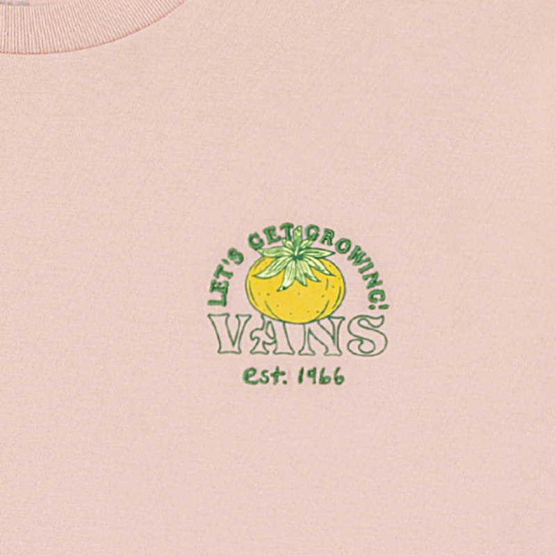 Vans T