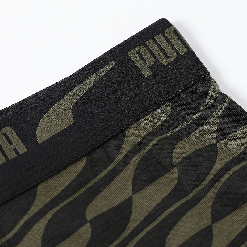 PUMA 1